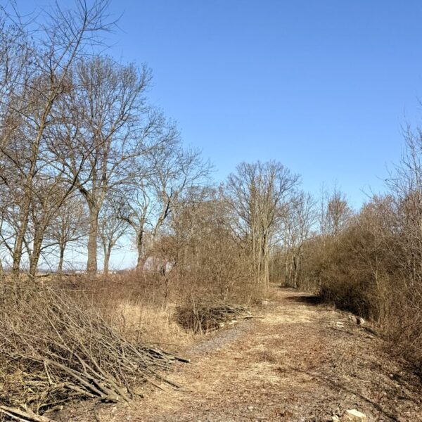 Pierwsze prace przy budowie ścieżki rowerowej w Zagrodnie