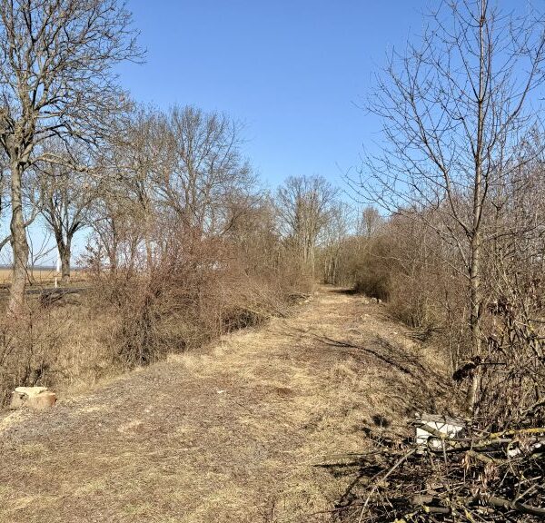 Pierwsze prace przy budowie ścieżki rowerowej w Zagrodnie