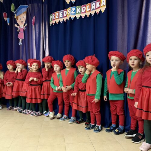 Pasowanie na przedszkolaka w Gminnym Przedszkolu w Zagrodnie